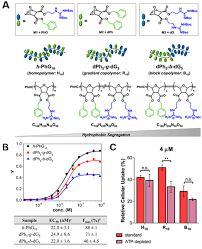 Polymers for Biomedical Applications: The Importance of Hydrophobicity in  Directing Biological Interactions and Application Efficacy |  Biomacromolecules