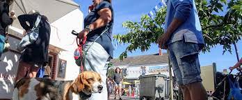 Il faut alors prendre des dispositions et se renseigner auprès de votre commune pour savoir quels sont vos droits. Faut Il Tenir Son Chien En Laisse Ou Pas Ce Que Dit La Loi Ladepeche Fr