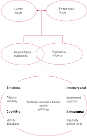 Borderline Personality Disorder Part 1 Assessment And Diagnosis Bjpsych Advances Cambridge Core