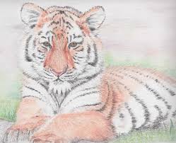 Check spelling or type a new query. Tekening Dieren Moeilijk