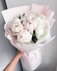 Only blooming in may and june peonies are an elegant flower and for sure a brillant gift. Pin On Flowers