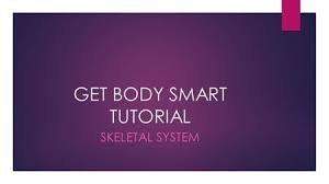 Getbodysmart represents an attempt to create a fully animated and interactive ebook about human anatomy and physiology. Anatomy Computer Lab Instructions Cell Tissues Review P 23 In Your Nb Today Our Main Goal Is To Review For Your Cells Tissues Test Chapters Ppt Download