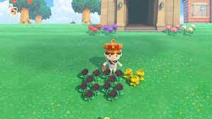 1 new mechanics 2 flower availability 3 breeding rate 4 flower genetics 5 hybridization layouts 5.1 breeding layouts 5.1.1 pair layout 5.1.2 diamond layout 5.1.3 square layout 5.2 clone tolerant breeding layouts 5.2.1 5x1 layout 5.2.2 turtle layout 5.3 cloning layouts 5.3.1 isolated clone 5.3.2 interwoven clones 5.4 inefficient layouts 6 hybridization 6.1 roses 6.2 tulips 6.3 pansies 6.4. How To Grow Golden Roses Acnh Animal Crossing New Horizons Switch Game8