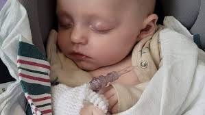 Amber Cota's Instagram, Twitter & Facebook