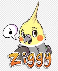 We did not find results for: Cockatiel Bird Art Drawing Cockatiel Animals Chibi Animal Png Pngwing