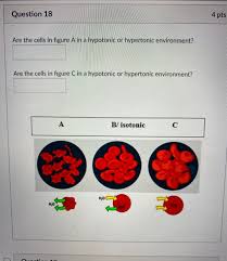 We did not find results for: Question 18 4 Pts Are The Cells In Figure A In A Chegg Com