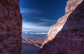 Something i can do to help though: Desert Wikipedia