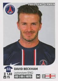 DAVID XII · SARAH ORTMEYER