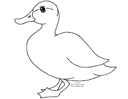Coloring pictures of cute zoo animals: Animals Printable Coloring Pages