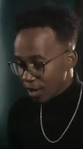 Denicher Pol Inexplicable Cover