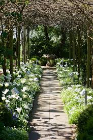 Grafgarten Akademie Garten Garten Ideen Gartengestaltung