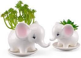 Discarded bottle white cement fevicol acrylic colours. Elephant Flower Pots Ceramic Succulent Planter Plant Pot Window Cactus Plant With Tray For Indoor Outdoor Use Cactus Succulent Plants Set Of 2 Amazon De Kuche Haushalt