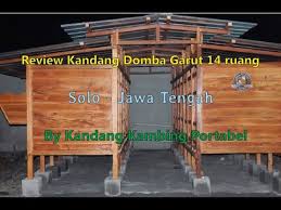 Review kandang domba garut super. Review Kandang Domba Garut 14 Ruang Dengan Atap Galvalum Solo Jawa Tengah Yoga Aufa Youtube