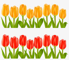 Light green background with tulips. Vector Indira Gandhi Memorial Tulip Tulips Flower Garden Clip Art Transparent Png 2244x1839 Free Download On Nicepng