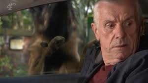 Farewell Frankie, A Day Out And An Angry Dog...