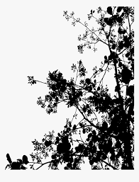 Download transparent tumblr transparent background png for free on pngkey.com. Black Flowers Tumblr Png Png Download No Background Flowers Black And White Transparent Png Transparent Png Image Pngitem