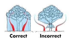 M and 15 hours of smoke. 10 Easy Ways To Protect Plants From Frost Dengarden