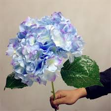 Maybe you would like to learn more about one of these? Artificial Hydrangea Flower 80cm 31 5 Fake Single Hydrangeas Silk Flower For Wedding Centerpieces Home Party Decorative Flowers Brand Best Quality And Cheapest Price Dhgate Com