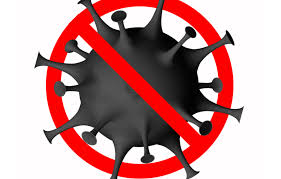 Ver más ideas sobre corona png, coronas, png. Coronavirus Update Your Health Hub Medical And Allied Health