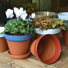 Writes about diying her way to her farmhouse style dream home at seeking lavender lane and is a regular. Glazed Coloured Flower Pots Terracotta Uk Com Hand Made Uk Terracotta Production