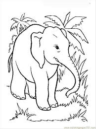 Elephant coloring page 100 images elephant coloring page. Elephant Pictures To Color Coloring Home