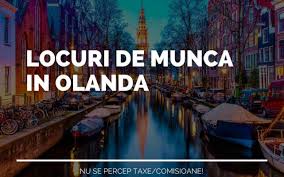 Candidatul ideal cunoasterea limbii germane la un nivel incepator locuri de munca disponibile in germania. Arhive Locuri De Munca Olanda Oferte Munca