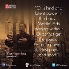 Pin By Eduardo Esser On Artes Marciais Martial Arts Techniques Martial Arts Martial Arts Training
