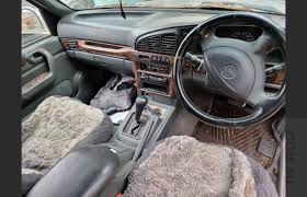 Image result for Autumn Brown 1997 SsangYong