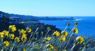 This is the newest place to search, delivering top results from across the web. Scripps Coastal Reserve Biodiversity Trail San Diego Mapio Net