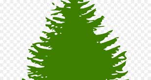 Christmas Tree Silhouette Png Download 640 480 Free Transparent Pine Png Download Cleanpng Kisspng