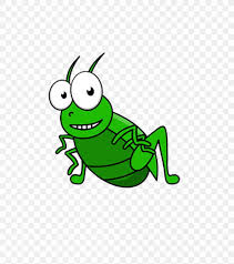 Insect cricket flour field cricket entomophagy, insect bug , brown and black house cricket png clipart. Insect Field Cricket Grasshopper Clip Art Png 1000x1128px Insect Amphibian Animation Art Cartoon Download Free