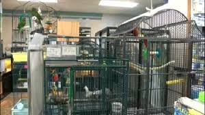 Every thing from exotic pets to equipment and feeders! Pet Store Owner Facing Cruelty Charges Planning To Downsize Number Of Animals In Store