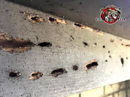 Carpenter bees can cause serious damage to exterior wood. Carpenter Bee Damage At A House In Brookhaven Georgia