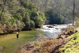 10 top rated rivers for trout fishing in north carolina