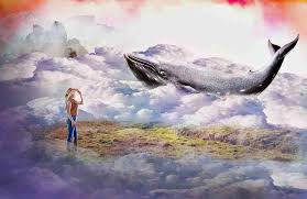 Mimpi ikan hidup di darat. Arti Mimpi Ikan Tafsir Makna Dan Penjelasan Arti Mimpi