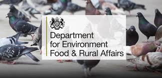 And, unfortunately, their population is declining, and it may cause various environmental problems in the being a professional entomologist, i have provided private pest control agencies with consultations and support on the ground bees subject from time to. Pest Advice For Controlling Bees