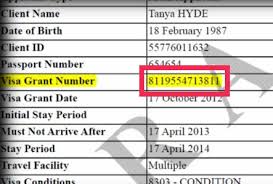 #infographics australia visa in malaysia price @ rm22 and just only 3 minutes to apply for your australia visa in malaysia and get the result withn 15 minutes. Frequently Asked Questions About The Australia Visa