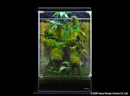 Kota iwahori ⓒaqua design amano Enjoy Dooa System Paluda 30 News Dooa