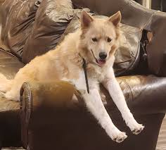 Micah Hyatt (@MicahJHyatt) • Facebook