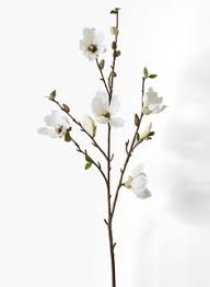 ◄◄ ◄ previous page page 3986 of 11357 next page ► ►►. 26 Floral Ideas Flower Arrangements Floral Flowers