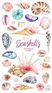 Seashells 27 Watercolor Handpainted Clipart Nautical Beach Etsy Zeichenvorlagen Illustration Kunstwerke