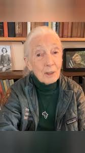 Dr. Jane Goodall added a new photo.