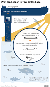 Seven Charts That Explain The Plastic Pollution Problem