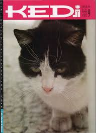 Kedi Insan Mavibulut