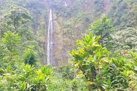 Spectacular cliffs, bamboo jungles, hawaiian waterfalls, tropical scenery and colorful fragrant flowers are part of our heavenly hana tour. Road To Hana Waterfalls 10 East Maui Waterfalls Near Hana Highway Hawaii Travel Blog Flashpacking America