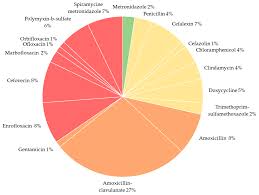 To give an example, in order to eliminate giardiasis cysts, vets will recommend 25 mg per kg of your cat's weight, administered orally twice a day for a week. Antibiotics Free Full Text Antimicrobial Usage And Resistance In Companion Animals A Cross Sectional Study In Three European Countries Html