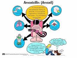 Pin By Cynthia Rutledge On Nursing Medical Pharmacology Nursing Nursing Mnemonics Nurse