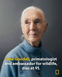 Primatologist, conservationist, animal advocate, educator, and National  Geographic Explorer Jane Goodall has died at age 91. Goodall's decades of  research into the lives of wild chimpanzees in Africa radically changed our  understanding