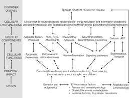 Profound depression alternates with periods of mania. Biological Hypotheses And Biomarkers Of Bipolar Disorder Sigitova 2017 Psychiatry And Clinical Neurosciences Wiley Online Library