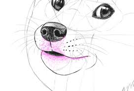 It's important when creating a realistic dog mouth! Such Tutorial Many Fun How To Draw Doge